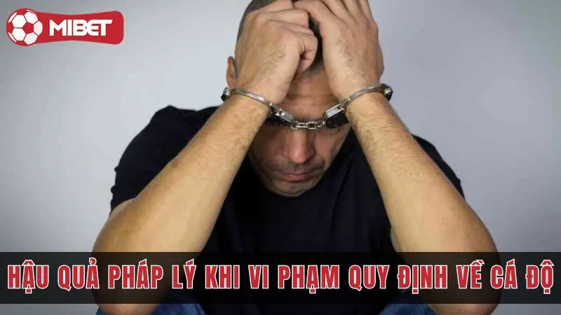 Cập Nhật Hậu Quả Pháp Lý Mibet Khi Vi Phạm Quy Định Cá Cược